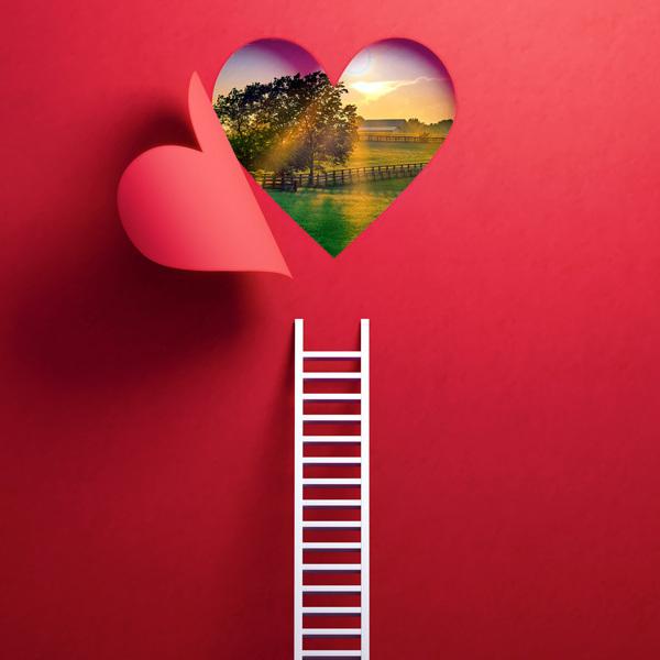 From tragedy to triumph: how passion leads to a mission