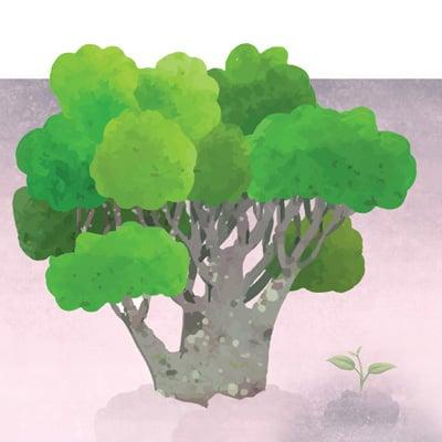 Philanthropy through insurance